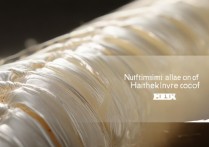 蚕蛹的营养价值与功效