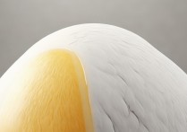 鸽子蛋的营养价值