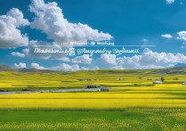 青海门源景点有哪些必打卡的绝美秘境？