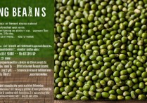 绿豆的功效与作用及营养价值