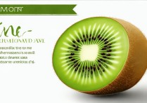 猕猴桃的营养价值及功效