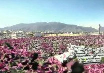 赣州必去的景点有哪些值得打卡的隐藏玩法？