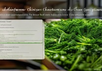 茼蒿怎么做好吃