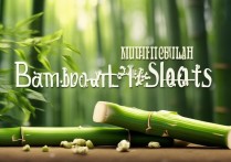 竹笋的营养价值