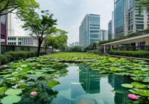 积水潭医院附近有哪些免费又好玩的景点推荐？