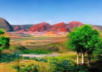 新疆哈密旅游景点众多，哪些是游客必去的经典之地？