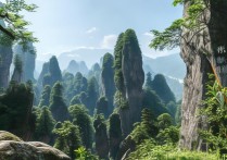 张家界森林公园景点介绍