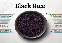 黑米的营养价值