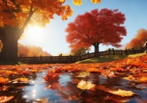 秋色景点哪里人少景美？推荐最佳观赏时间和路线。