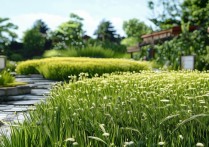 百草园景点有哪些必打卡的隐藏玩法和小众路线？