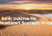 沙坡头景点有哪些独特之处，游客体验如何？