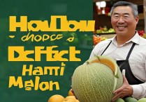 挑选哈密瓜的方法