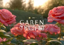 玫瑰花景点哪个季节最美拍照打卡？