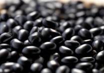 黑豆的功效与作用