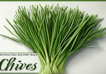 韭菜的营养价值及功效与作用