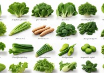 青菜的营养价值及功效