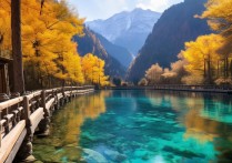 九寨沟著名景点有哪些必打卡的绝美风光？