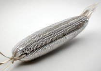 银耳的营养价值