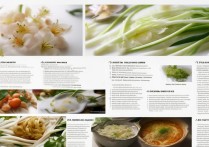 百合的吃法和做法