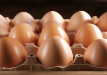 新鲜鸡蛋怎么挑选