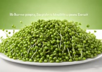 绿豆芽的营养价值及功效