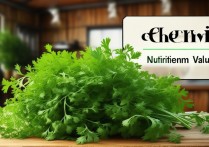 茼蒿的营养价值