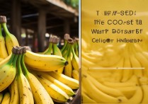 香蕉的挑选方法