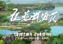 杭州必游景点排行，哪些才是真正的网红打卡地？