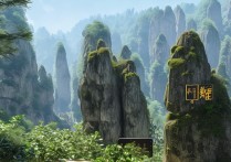 张家界森林公园有哪些必看景点？揭秘自然奇观背后的故事！