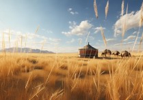 沈阳沙漠草原旅游景点，这些地方值得一游吗？