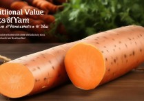 山药的营养价值及功效