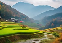 贵州旅游景点最佳季节是何时？去贵州旅游的最佳时间点是什么？