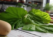 地瓜叶怎么做好吃