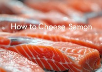 三文鱼怎么挑选