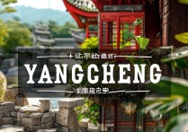 阳城景点中，哪些古建筑和历史遗迹最值得一看？揭秘阳城旅游的隐藏宝藏！