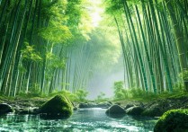 竹溪景点这处隐秘仙境，你探索过哪些绝美角落？