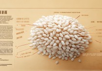 大米的营养价值及功效