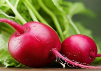 萝卜的营养价值