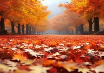 辽宁枫叶景点哪里赏枫最美？最佳观赏时间是什么时候？