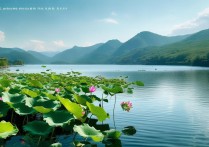 萍乡莲花有哪些必去景点？小众玩法攻略推荐！