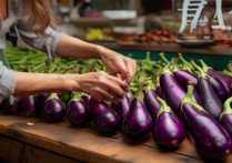 怎样挑选嫩茄子