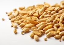 皂角米怎么挑选