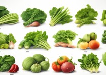 青菜的营养价值