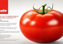 番茄的营养价值及功效