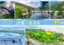 江苏泰州旅游景点攻略，有哪些不可错过的独特景点和体验？