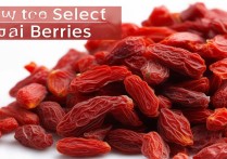 枸杞子怎么挑选