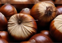 栗子的营养价值