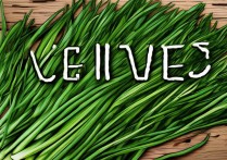 韭菜的功效与作用