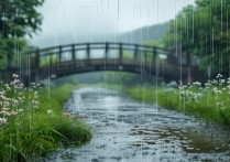 下雨的景点去哪里玩才能既浪漫又不湿身？