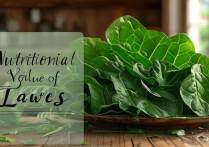 红薯叶的营养价值